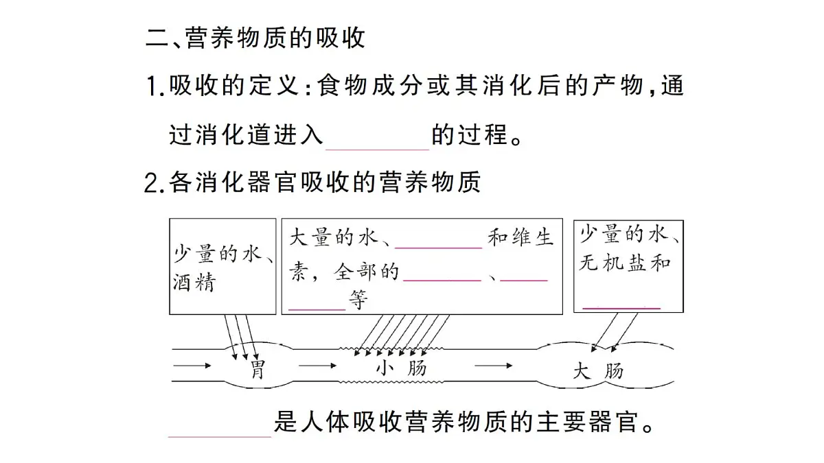 初中生物新人教版七年级下册第四单元第二章第二节第二课时 营养物质的吸收作业课件2025春第4页