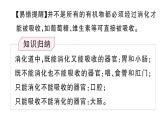 初中生物新人教版七年級下冊第四單元第二章第二節(jié)第二課時(shí) 營養(yǎng)物質(zhì)的吸收作業(yè)課件2025春