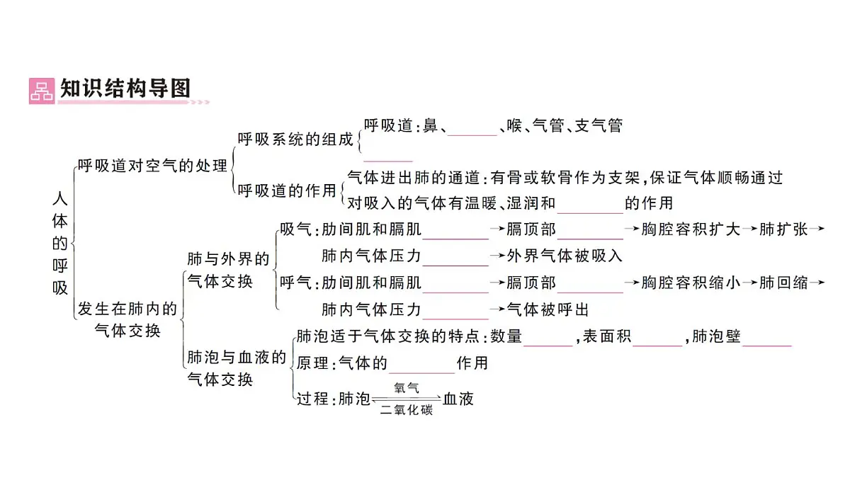 初中生物新人教版七年级下册第四单元第三章总结训练作业课件2025春第2页