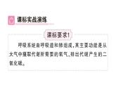 初中生物新人教版七年級下冊第四單元第三章總結(jié)訓練作業(yè)課件2025春