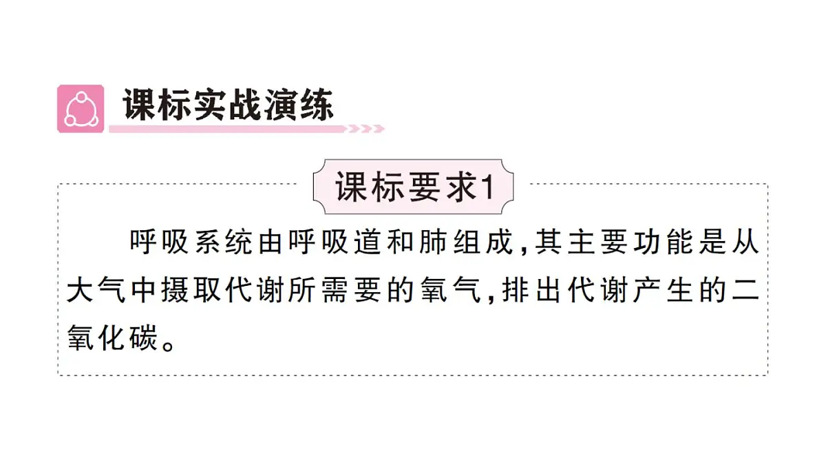 初中生物新人教版七年级下册第四单元第三章总结训练作业课件2025春第3页