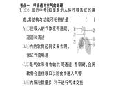 初中生物新人教版七年級下冊第四單元第三章總結(jié)訓練作業(yè)課件2025春