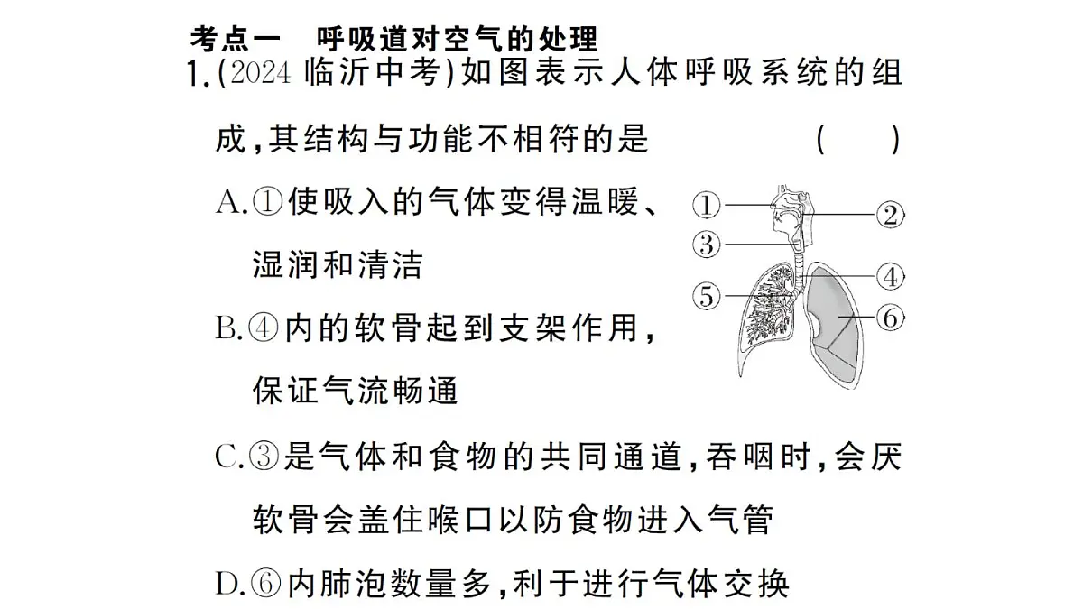 初中生物新人教版七年级下册第四单元第三章总结训练作业课件2025春第4页