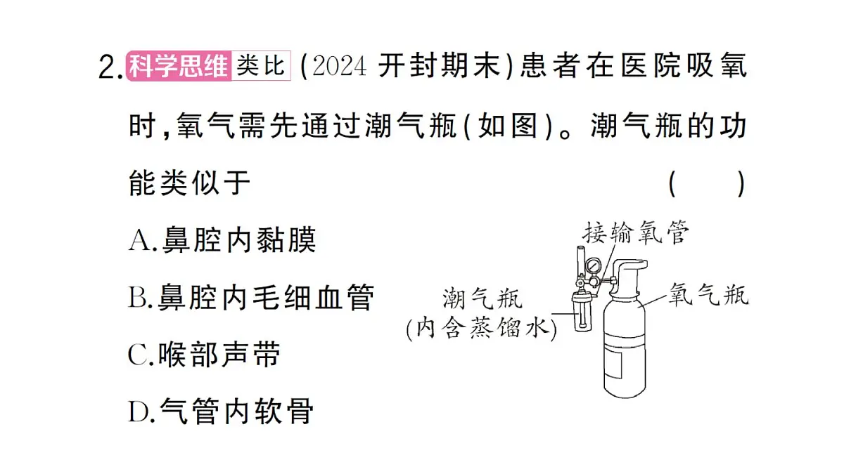 初中生物新人教版七年级下册第四单元第三章总结训练作业课件2025春第5页