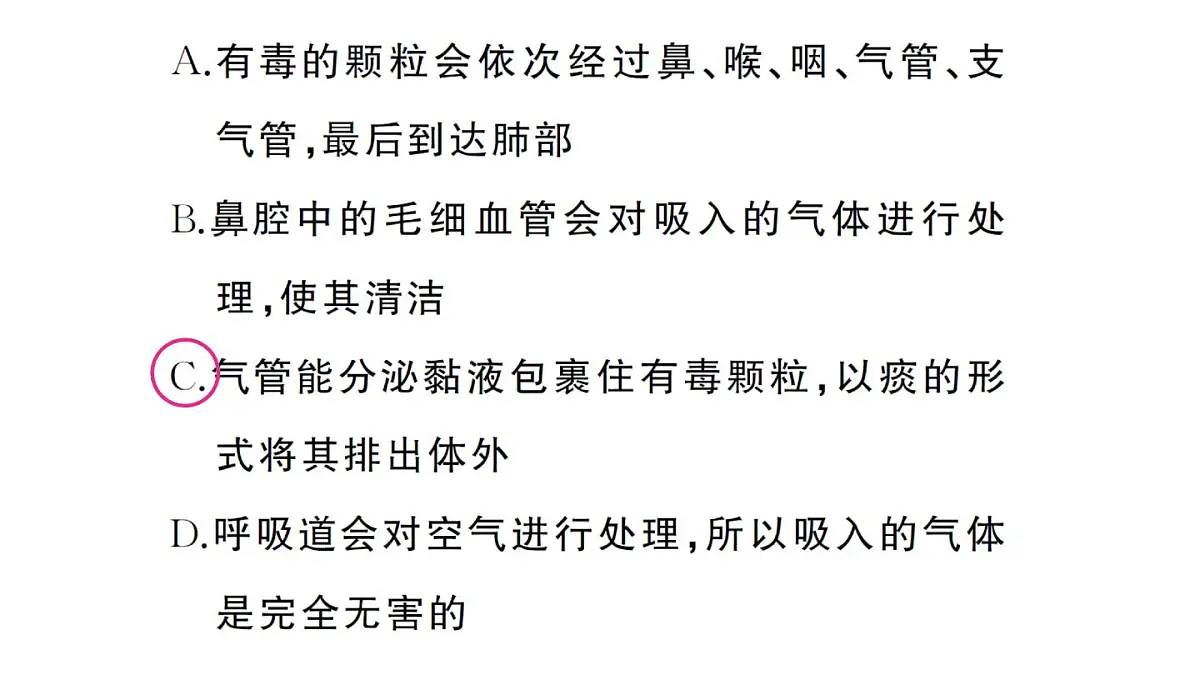 初中生物新人教版七年级下册第四单元第三章总结训练作业课件2025春第7页