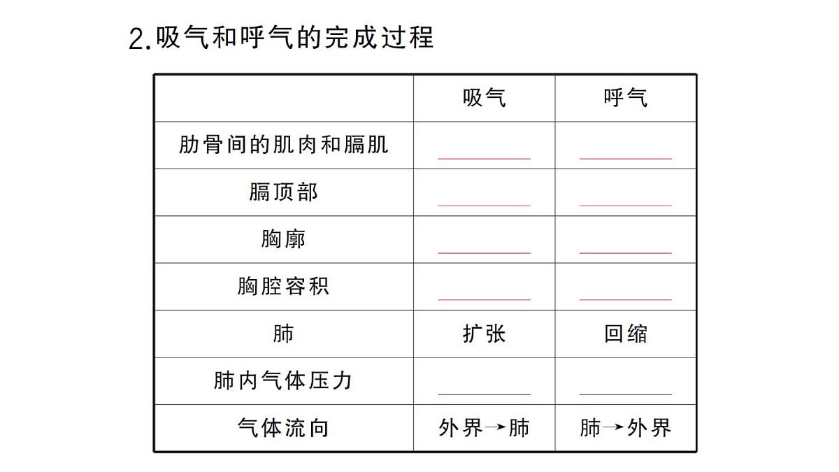 初中生物新人教版七年级下册第四单元第三章第二节第一课时 肺与外界的气体交换作业课件2025春第4页