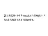 初中生物新人教版七年級(jí)下冊(cè)第四單元第三章第二節(jié)第一課時(shí) 肺與外界的氣體交換作業(yè)課件2025春