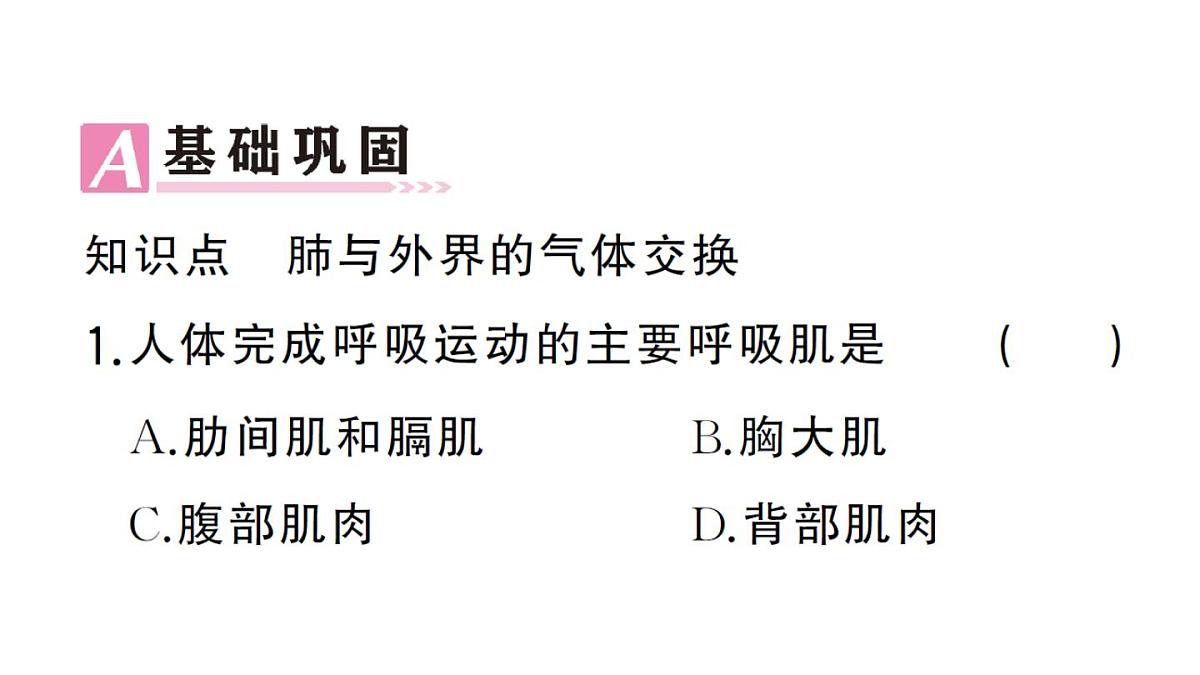 初中生物新人教版七年级下册第四单元第三章第二节第一课时 肺与外界的气体交换作业课件2025春第6页