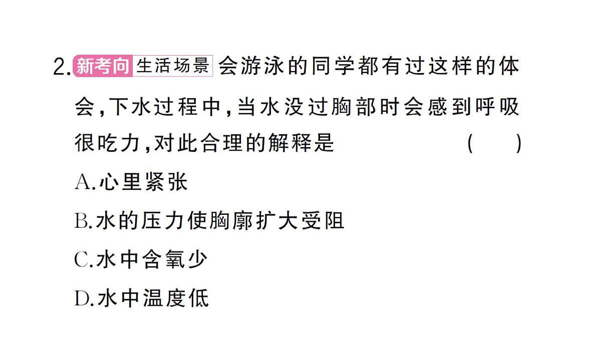 初中生物新人教版七年级下册第四单元第三章第二节第一课时 肺与外界的气体交换作业课件2025春第7页