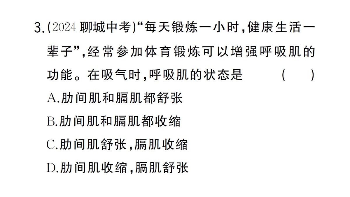 初中生物新人教版七年级下册第四单元第三章第二节第一课时 肺与外界的气体交换作业课件2025春第8页