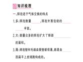 初中生物新人教版七年級(jí)下冊(cè)第四單元第三章第二節(jié)第二課時(shí) 肺泡與血液的氣體交換作業(yè)課件2025春