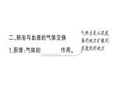 初中生物新人教版七年級(jí)下冊(cè)第四單元第三章第二節(jié)第二課時(shí) 肺泡與血液的氣體交換作業(yè)課件2025春