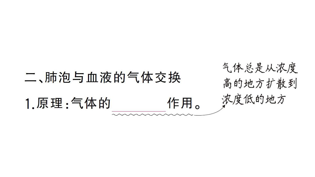 初中生物新人教版七年级下册第四单元第三章第二节第二课时 肺泡与血液的气体交换作业课件2025春第3页