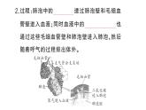 初中生物新人教版七年級(jí)下冊(cè)第四單元第三章第二節(jié)第二課時(shí) 肺泡與血液的氣體交換作業(yè)課件2025春