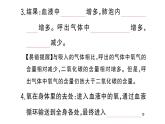 初中生物新人教版七年級(jí)下冊(cè)第四單元第三章第二節(jié)第二課時(shí) 肺泡與血液的氣體交換作業(yè)課件2025春