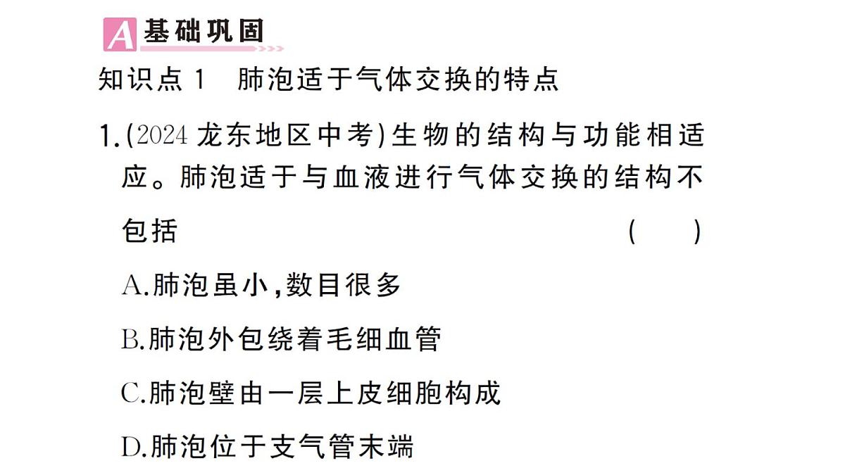 初中生物新人教版七年级下册第四单元第三章第二节第二课时 肺泡与血液的气体交换作业课件2025春第6页