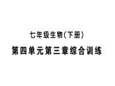初中生物新人教版七年級下冊第四單元第三章綜合訓練作業(yè)課件2025春