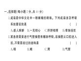 初中生物新人教版七年級下冊第四單元第三章綜合訓練作業(yè)課件2025春