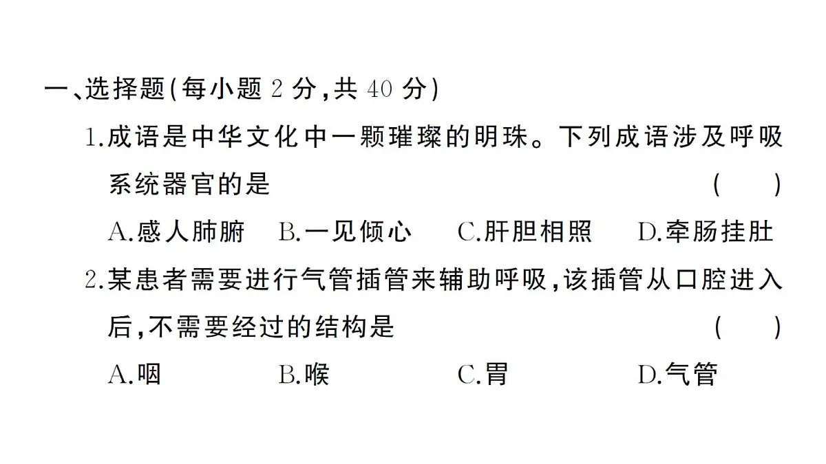 初中生物新人教版七年级下册第四单元第三章综合训练作业课件2025春第2页