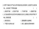 初中生物新人教版七年級下冊第四單元第三章綜合訓練作業(yè)課件2025春