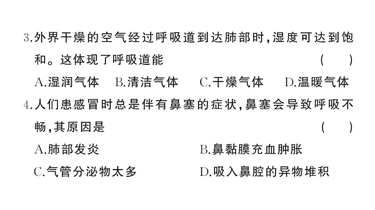 初中生物新人教版七年级下册第四单元第三章综合训练作业课件2025春第3页