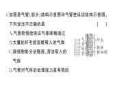 初中生物新人教版七年級下冊第四單元第三章綜合訓練作業(yè)課件2025春