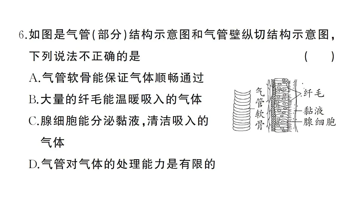 初中生物新人教版七年级下册第四单元第三章综合训练作业课件2025春第5页