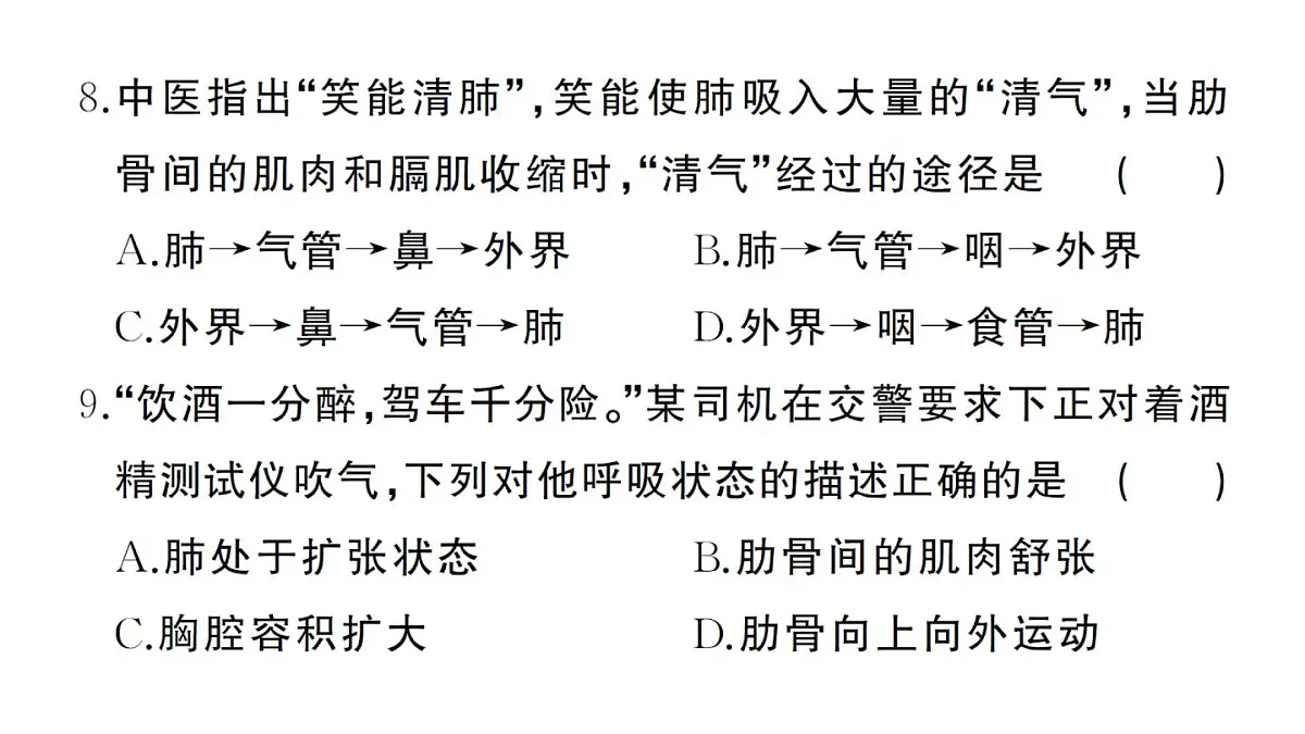 初中生物新人教版七年级下册第四单元第三章综合训练作业课件2025春第7页