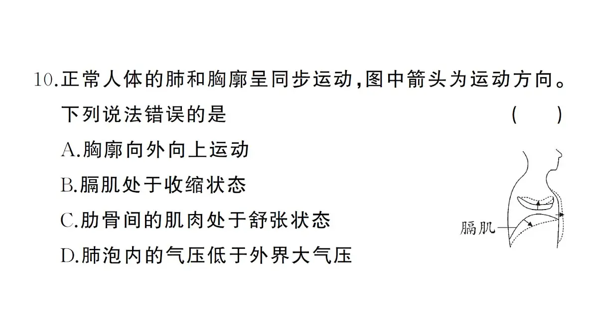初中生物新人教版七年级下册第四单元第三章综合训练作业课件2025春第8页