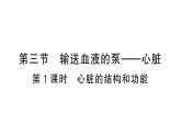 初中生物新人教版七年級(jí)下冊(cè)第四單元第四章第三節(jié)第一課時(shí) 心臟的結(jié)構(gòu)和功能作業(yè)課件2025春