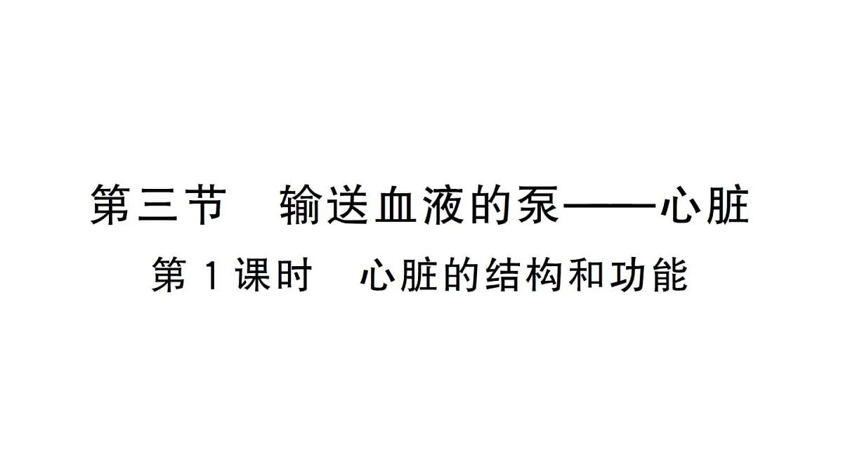 初中生物新人教版七年级下册第四单元第四章第三节第一课时 心脏的结构和功能作业课件2025春第1页