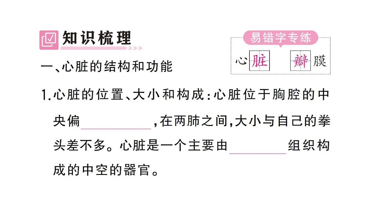 初中生物新人教版七年级下册第四单元第四章第三节第一课时 心脏的结构和功能作业课件2025春第2页