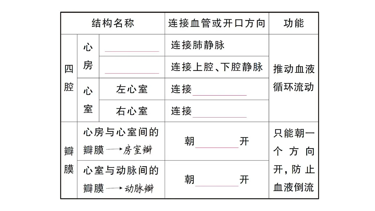 初中生物新人教版七年级下册第四单元第四章第三节第一课时 心脏的结构和功能作业课件2025春第4页