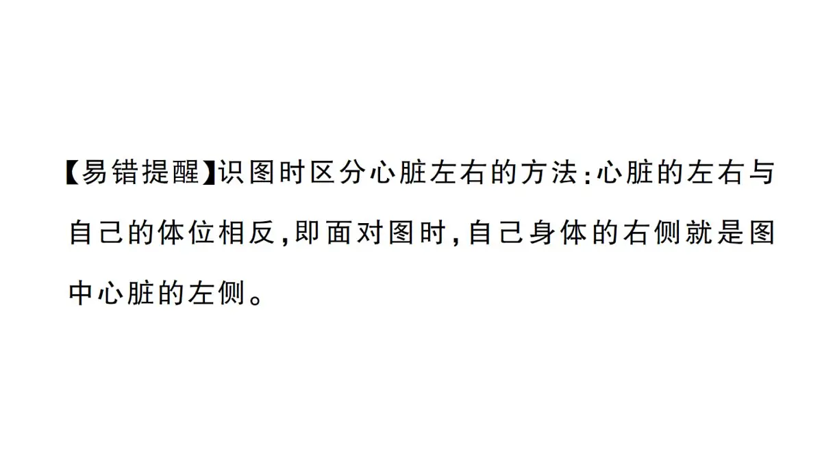 初中生物新人教版七年级下册第四单元第四章第三节第一课时 心脏的结构和功能作业课件2025春第5页