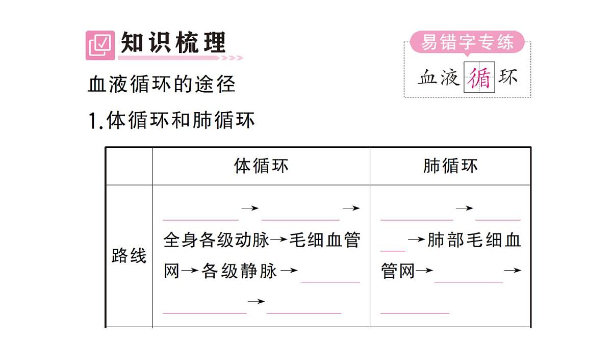 初中生物新人教版七年级下册第四单元第四章第三节第二课时 血液循环的途径作业课件2025春第2页