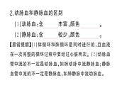 初中生物新人教版七年級(jí)下冊(cè)第四單元第四章第三節(jié)第二課時(shí) 血液循環(huán)的途徑作業(yè)課件2025春