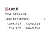 初中生物新人教版七年級(jí)下冊(cè)第四單元第四章第三節(jié)第二課時(shí) 血液循環(huán)的途徑作業(yè)課件2025春