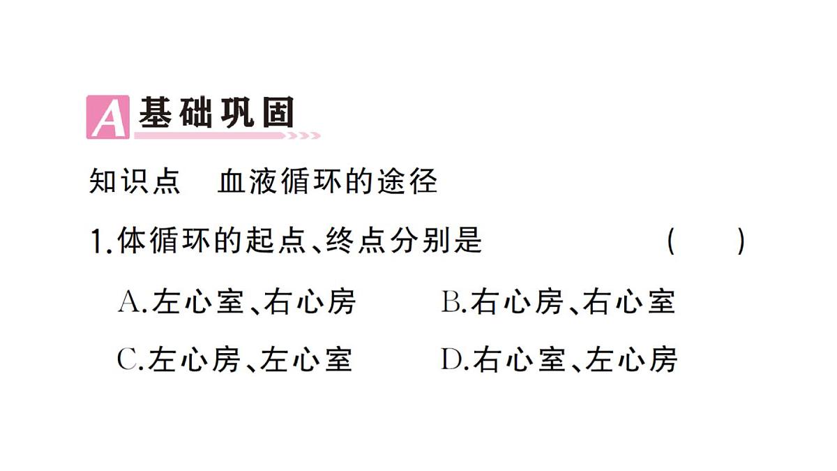初中生物新人教版七年级下册第四单元第四章第三节第二课时 血液循环的途径作业课件2025春第5页