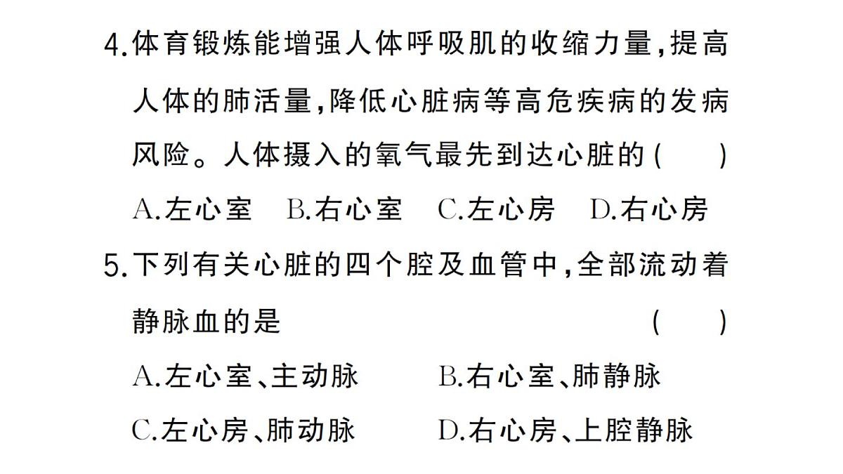 初中生物新人教版七年级下册第四单元第四章第三节第二课时 血液循环的途径作业课件2025春第8页