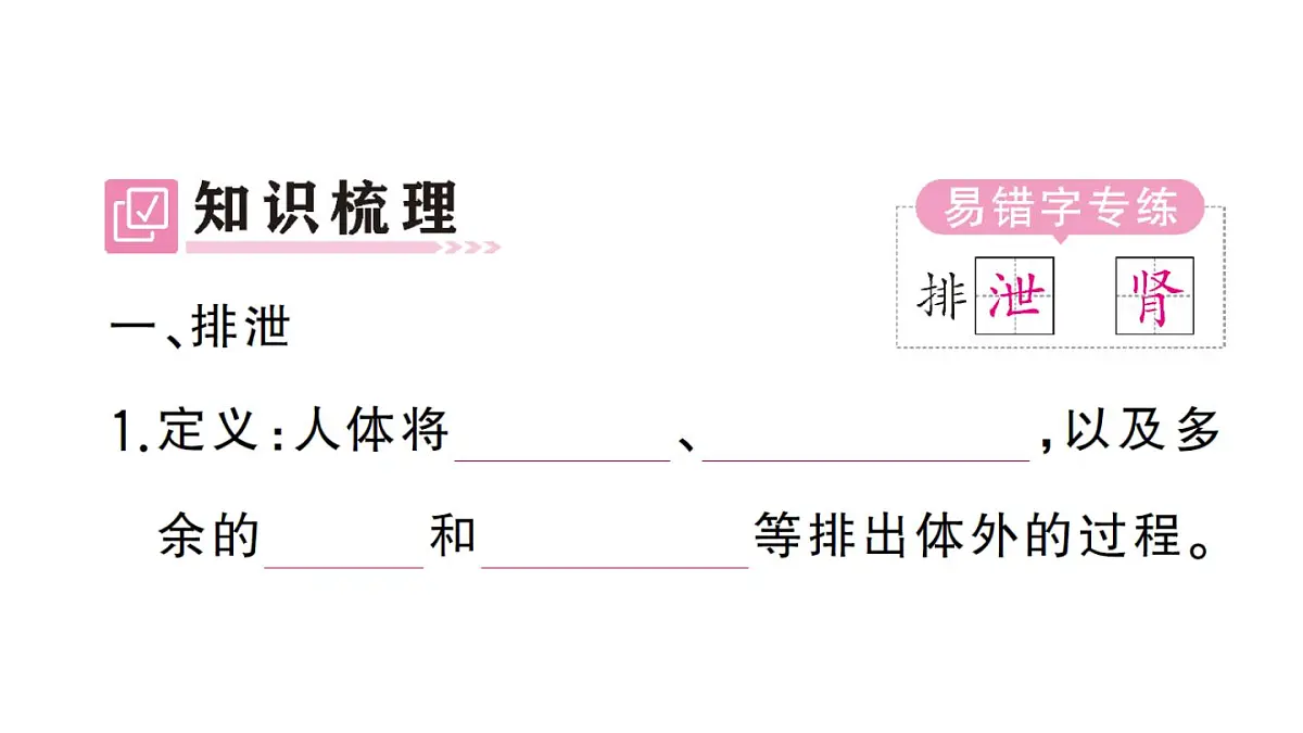 初中生物新人教版七年级下册第四单元第五章 人体内废物的排出作业课件2025春第2页