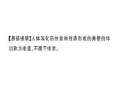 初中生物新人教版七年級(jí)下冊(cè)第四單元第五章 人體內(nèi)廢物的排出作業(yè)課件2025春