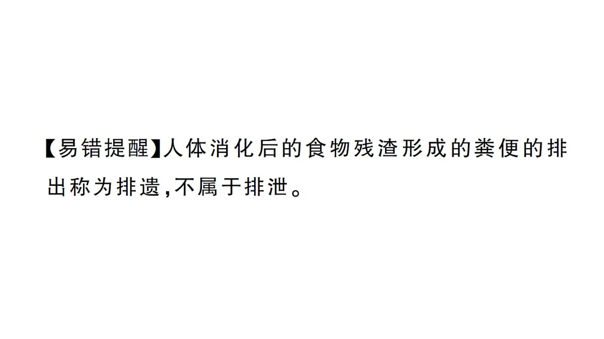 初中生物新人教版七年级下册第四单元第五章 人体内废物的排出作业课件2025春第4页