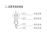 初中生物新人教版七年級(jí)下冊(cè)第四單元第五章 人體內(nèi)廢物的排出作業(yè)課件2025春