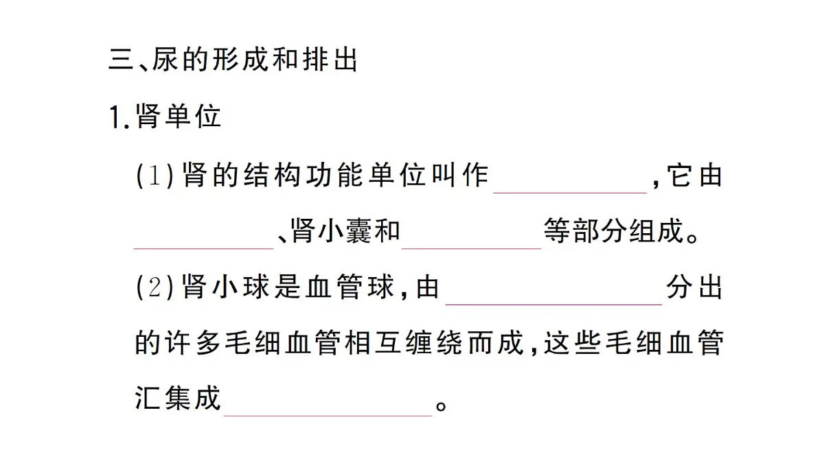 初中生物新人教版七年级下册第四单元第五章 人体内废物的排出作业课件2025春第6页