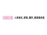 初中生物新人教版七年級(jí)下冊(cè)第四單元第五章微專題四 人體消化、呼吸、循環(huán)、排泄綜合練作業(yè)課件2025春