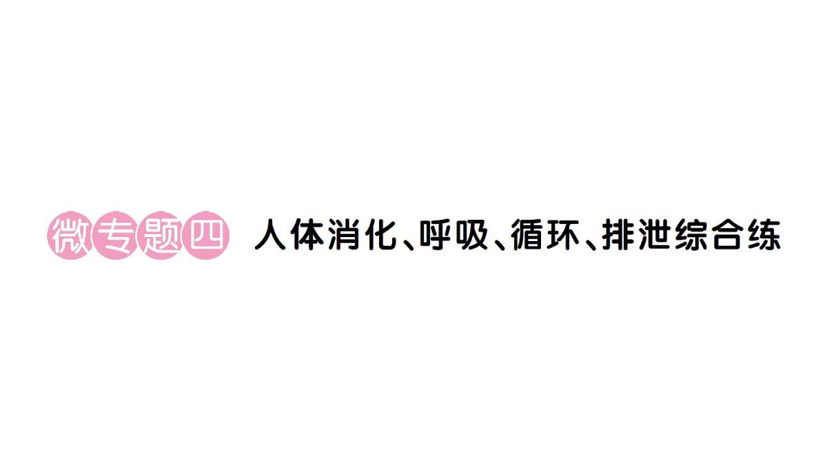 初中生物新人教版七年级下册第四单元第五章微专题四 人体消化、呼吸、循环、排泄综合练作业课件2025春第1页
