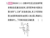 初中生物新人教版七年級(jí)下冊(cè)第四單元第五章微專題四 人體消化、呼吸、循環(huán)、排泄綜合練作業(yè)課件2025春