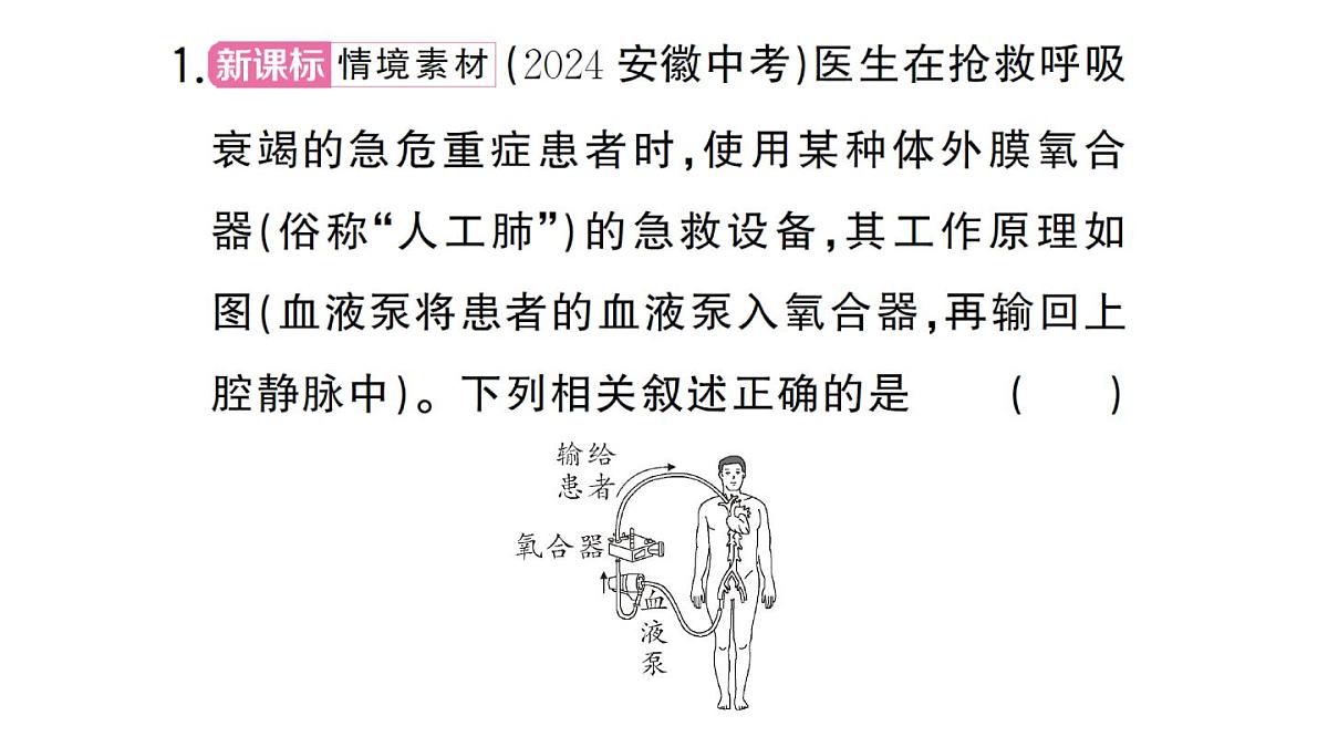 初中生物新人教版七年级下册第四单元第五章微专题四 人体消化、呼吸、循环、排泄综合练作业课件2025春第2页