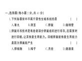 初中生物新人教版七年級下冊第四單元第一、二章綜合訓練作業(yè)課件2025春