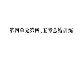 初中生物新人教版七年級下冊第四單元第四、五章總結訓練作業(yè)課件2025春